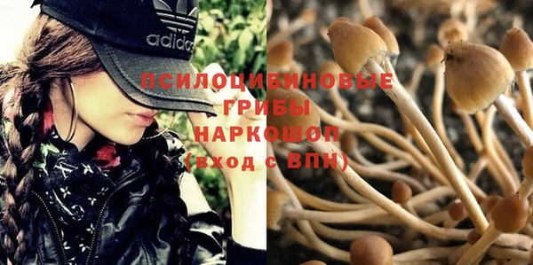 дурь Алзамай