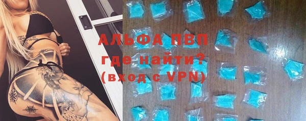 хмурый Алексин