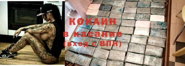 хмурый Алексин