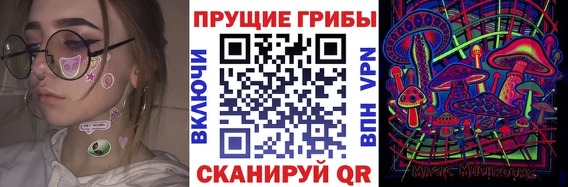 KRAKEN   Харабали  Псилоцибиновые грибы Magic Shrooms 